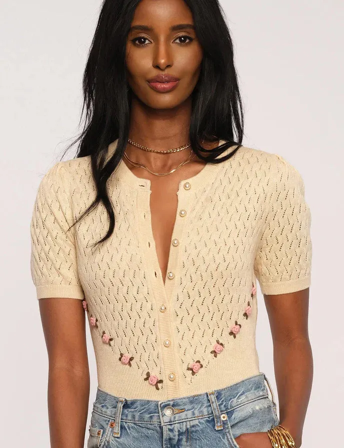 CASSI CARDI