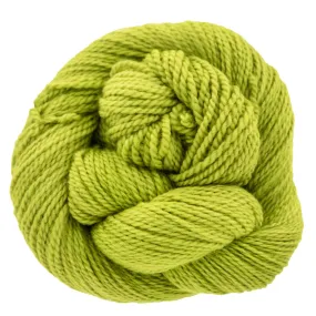 Dream in Color Lamb Yarn - Prickly Pear