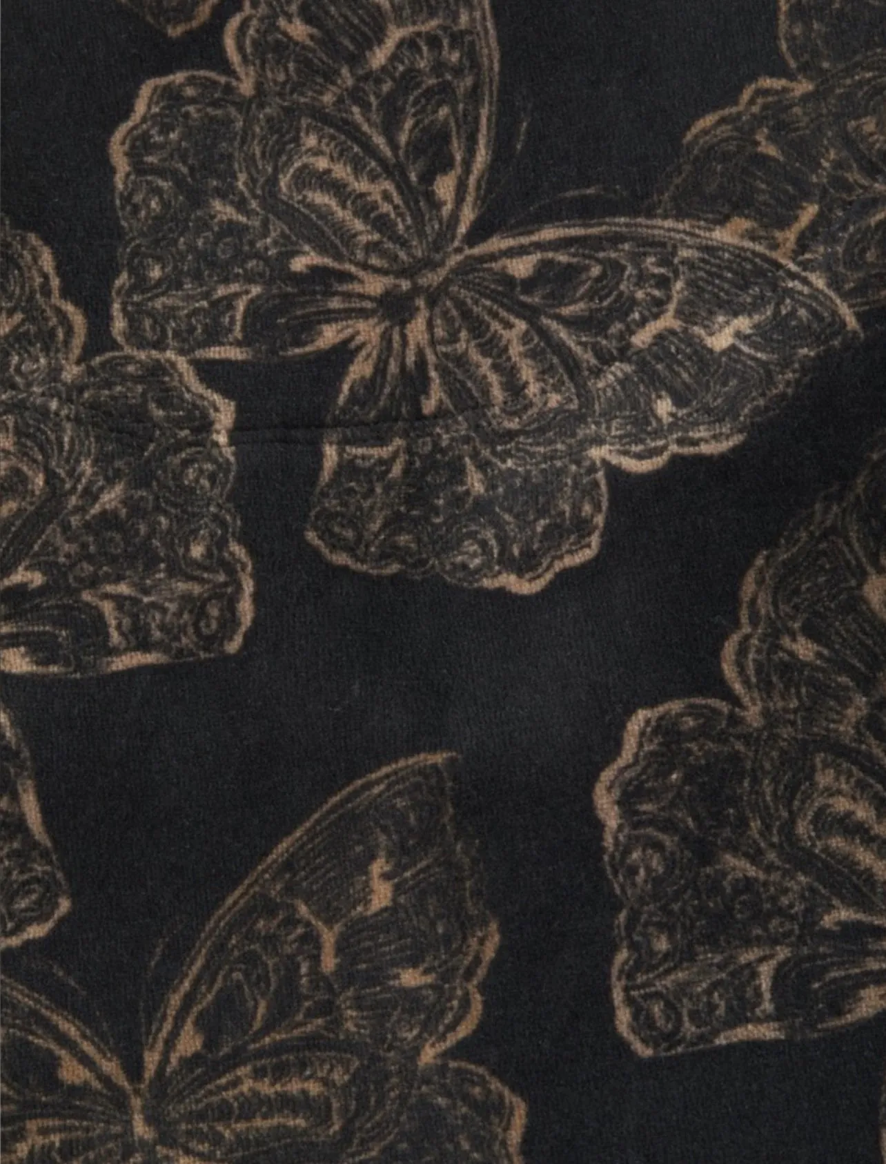 Johnny Was Zuri Modern Velour Sweatpants Black Plus 1X